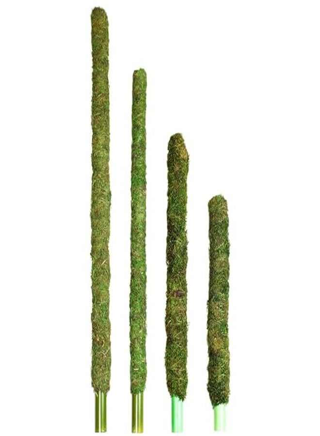 Galapagos (22210) Mossy Perch for Aquarium, 24", Fresh Green - Image 2